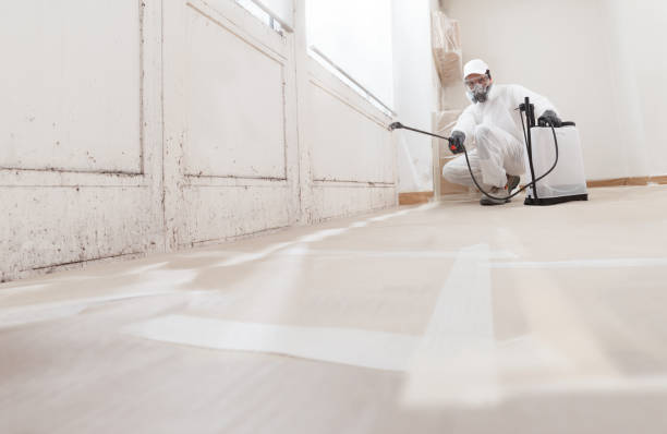 Trusted Mold Removal service in Huntly, VA - WQB Mold Removal